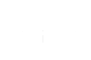 MSN-logo