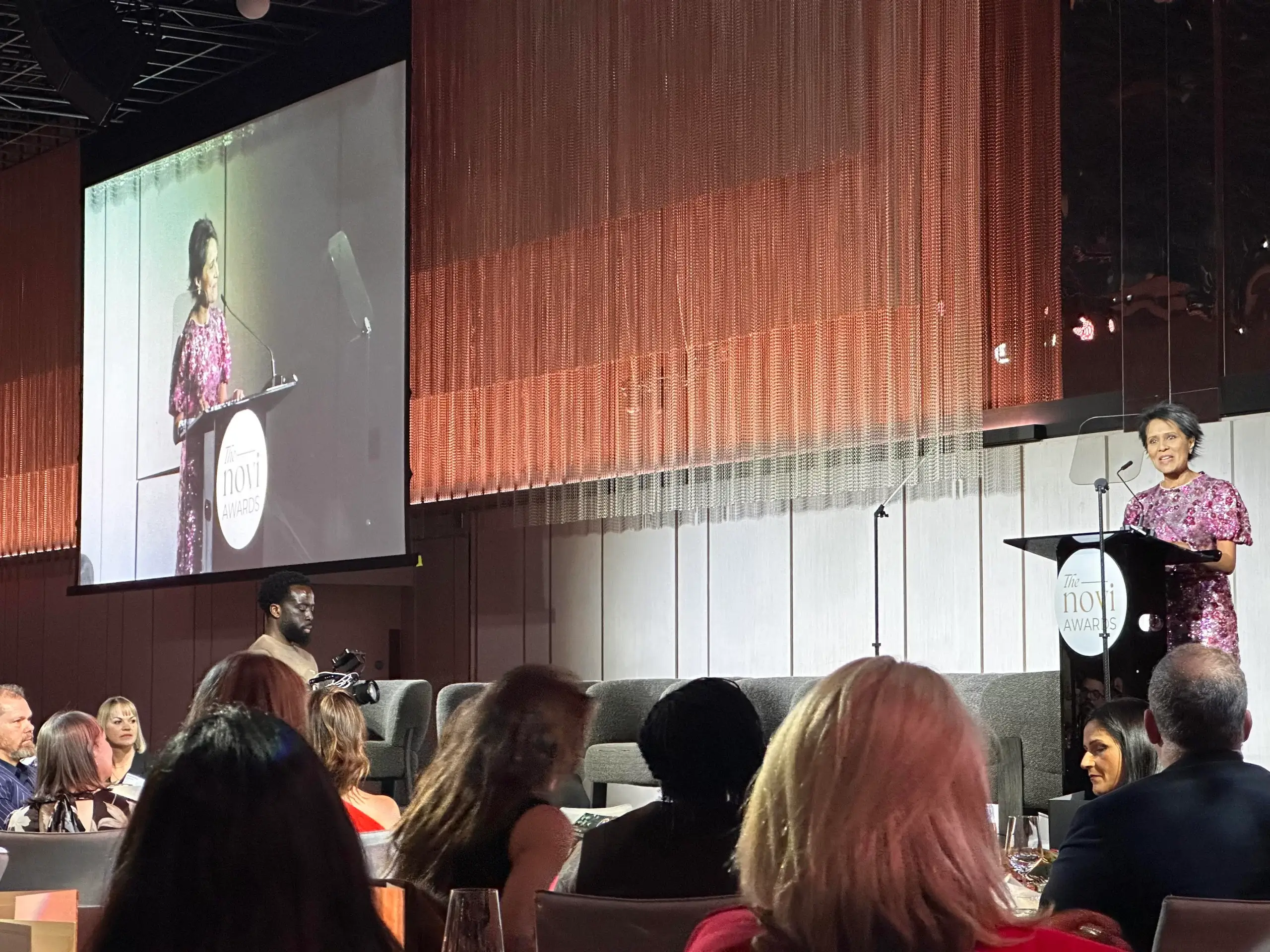 Elena Sinel a finalist at the Novi Awards 2025